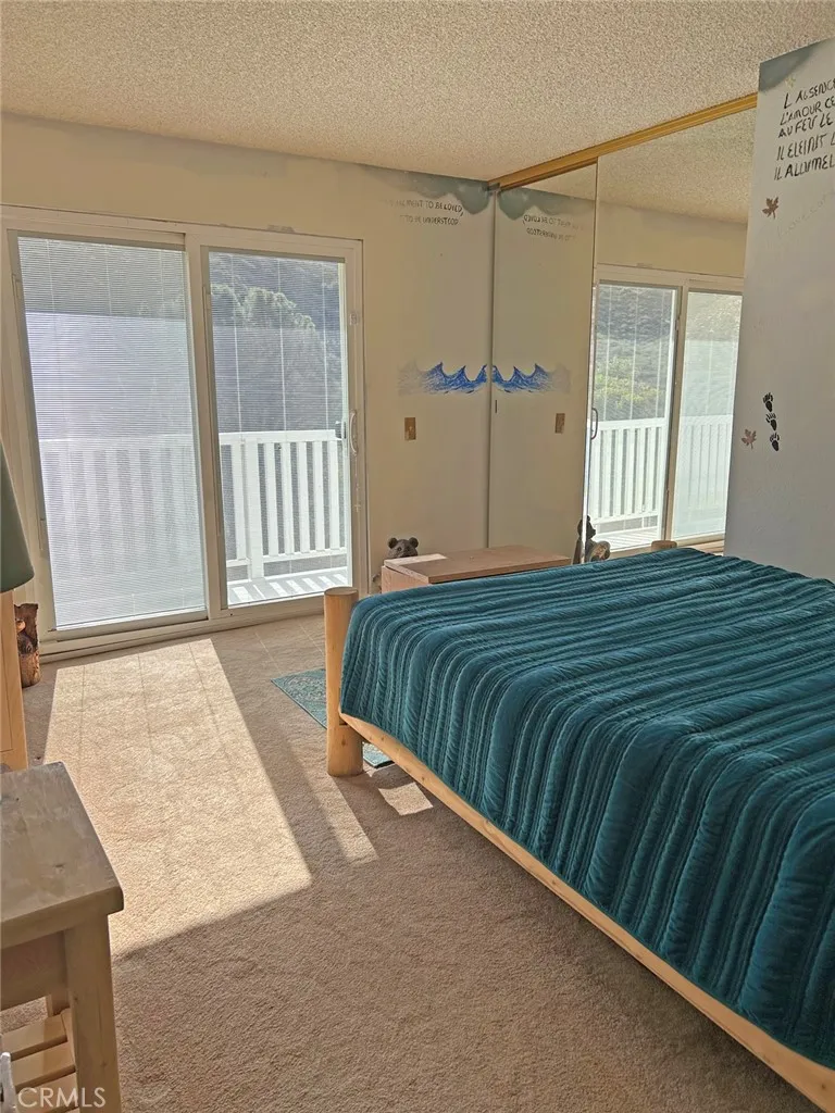 43155 Lake Hughes, Lake Hughes, California 93532 home-pic-10