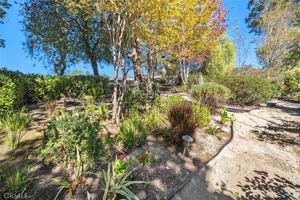 31581 Via Coyote, Coto De Caza, California 92679 home-pic-46