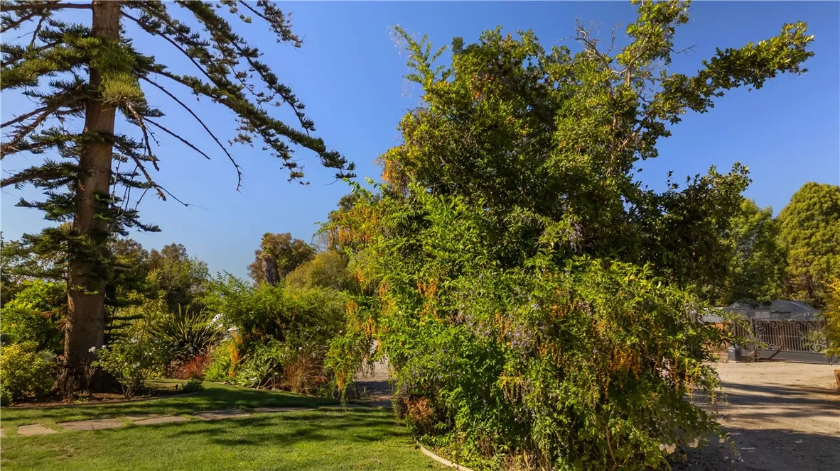 1955 Friendly, Vista, California 92084 home-pic-12