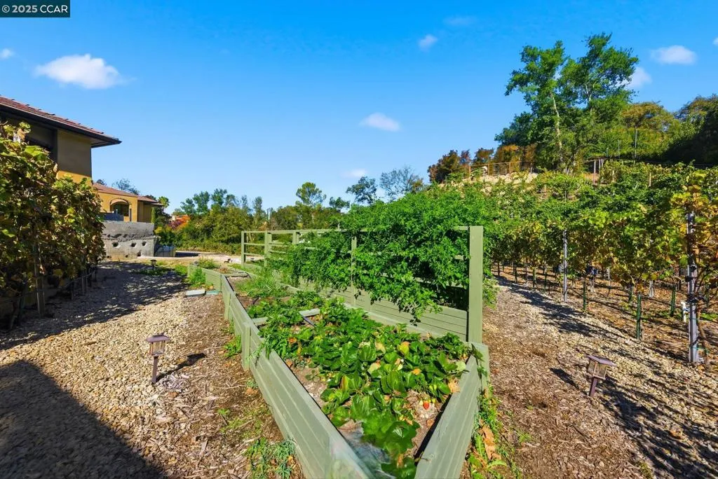 8 Quiet Country Lane, Danville, California 94526 home-pic-57