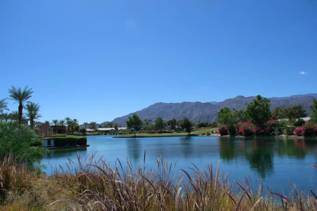 81463 Joshua Tree Court, La Quinta, California 92253 home-pic-46