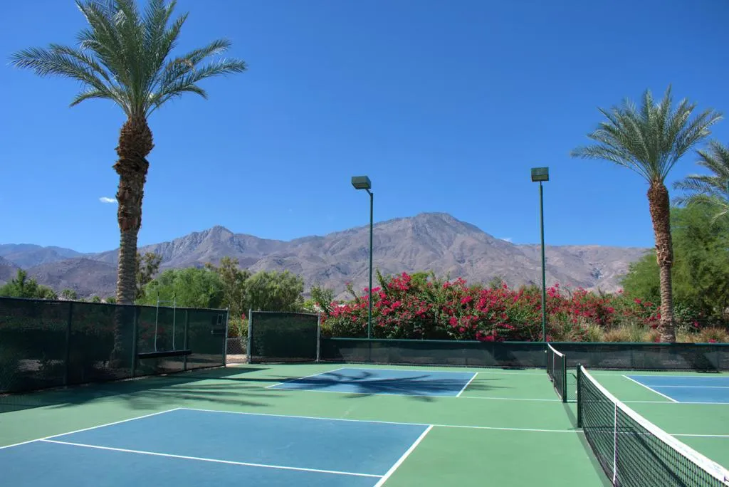81463 Joshua Tree Court, La Quinta, California 92253 home-pic-60