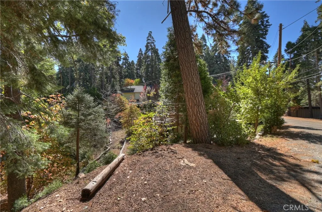 863 Oak Road, Lake Arrowhead, California 92386 home-pic-40