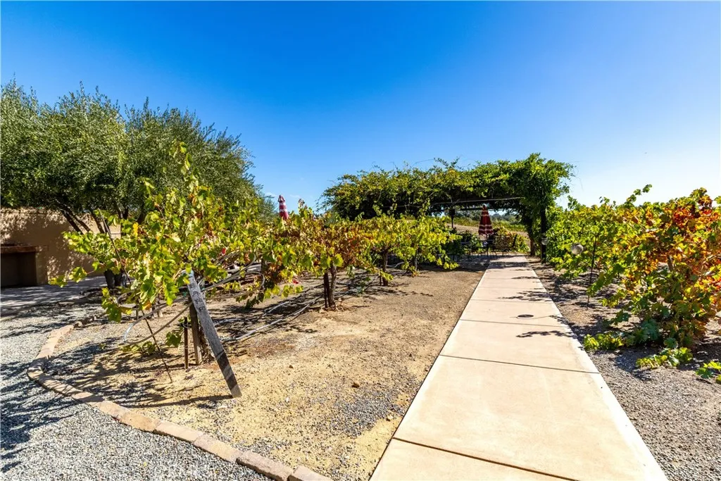 6944 Union Road, Paso Robles, California 93446 home-pic-43