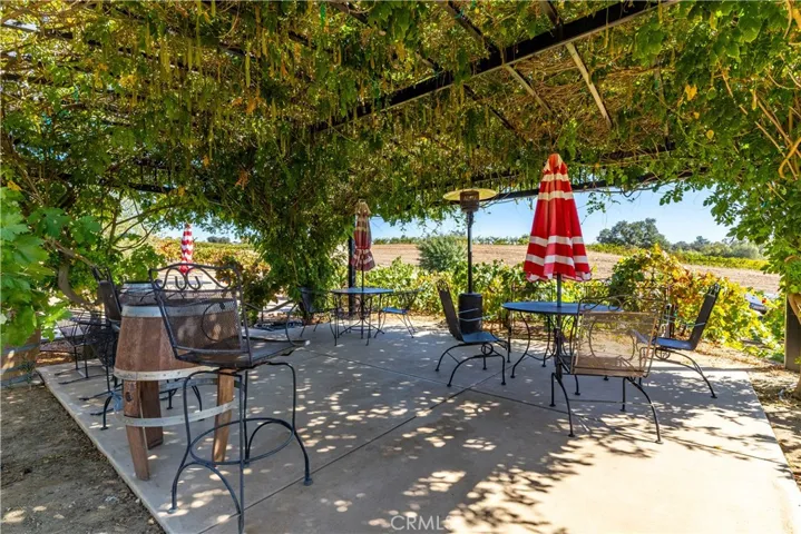 Pergola with lush vines provides ambiance, views, and a place to relax and enjoy.