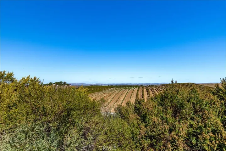 Looking past the pool wall reveals serene, expansive scenery of the vineyard.