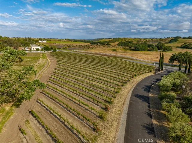 Surrounded by so much beauty.