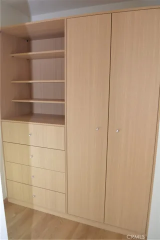 Hanging space, built in drawers and storage shelves.