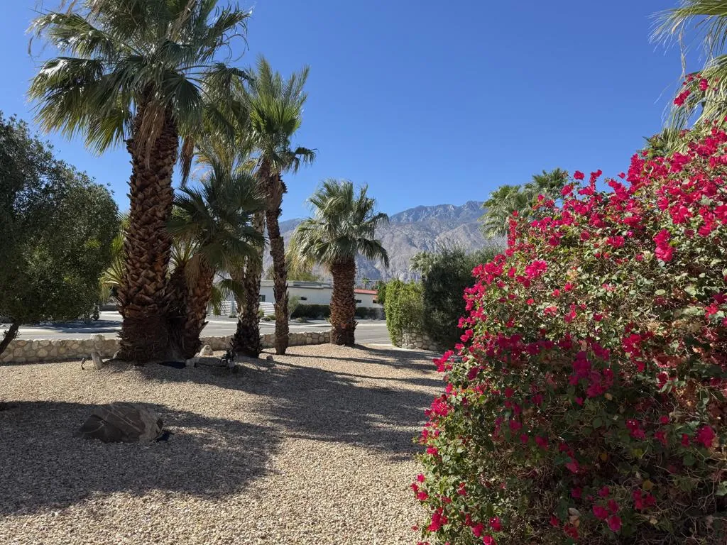 2100 Nicola Road E, Palm Springs, California 92262 home-pic-22