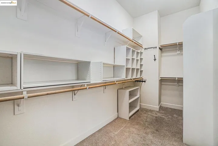 Walk in closet with light colored carpet
