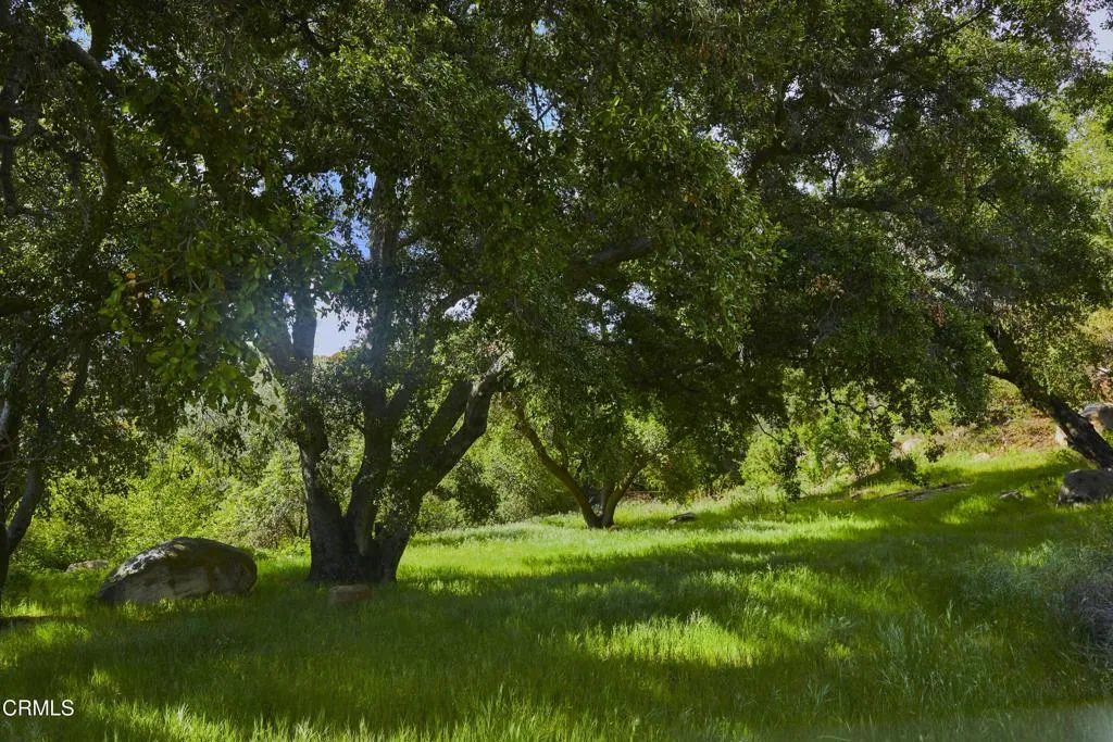 12179 Koenigstein Road, Ojai, California 93023 home-pic-39