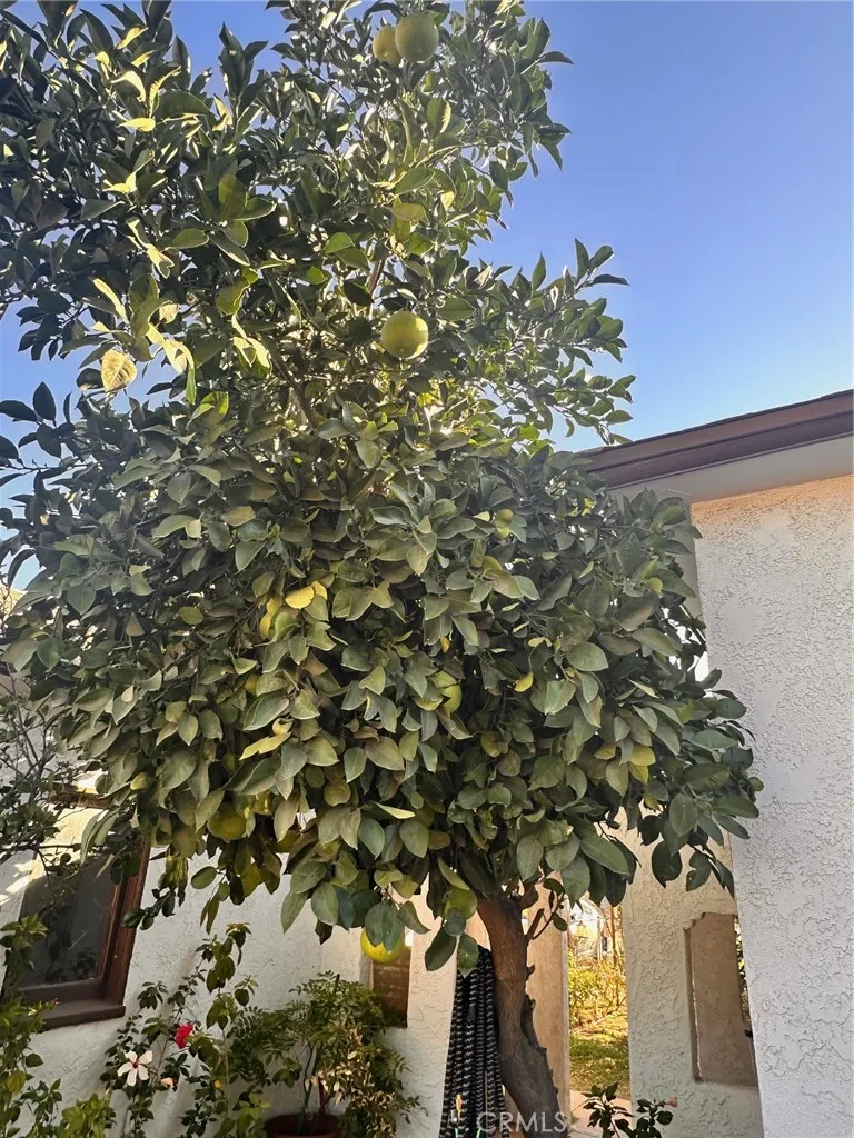 18090 Iris Avenue, Riverside, California 92508 home-pic-33
