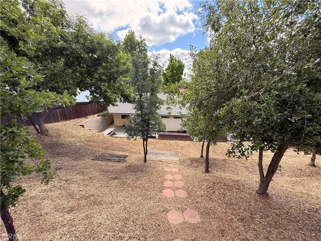 View from fence in backyard