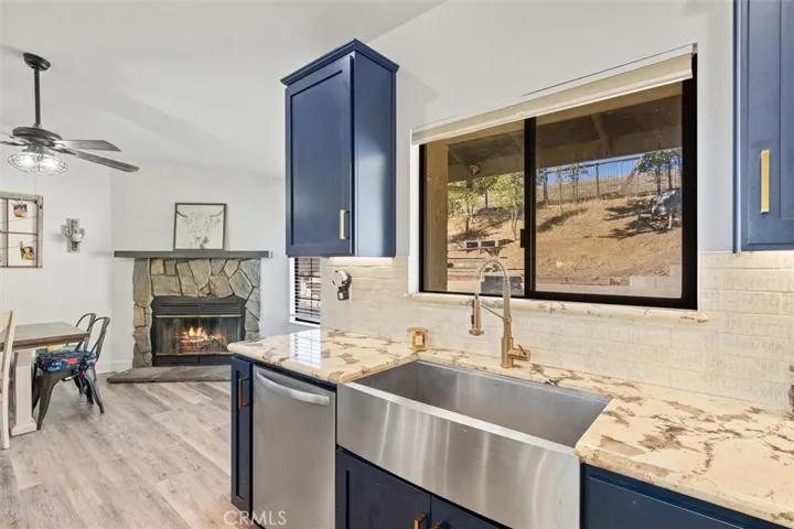 stainless sink and dw
