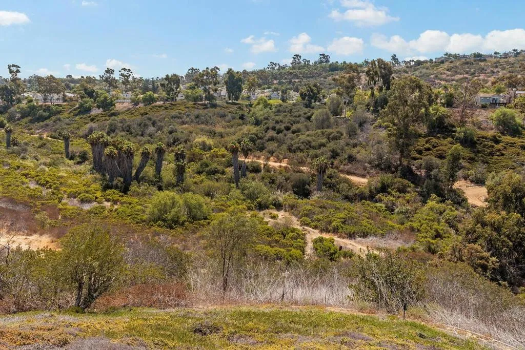 2119 Sand Crest Way, San Marcos, California 92078 home-pic-34