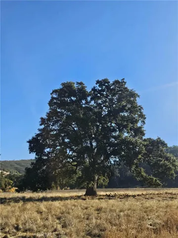 17680 Morgan Valley Road, Lower Lake, California 95457
