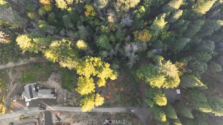 0 Path In The Woods, Berry Creek, California 95916 — photo 4
