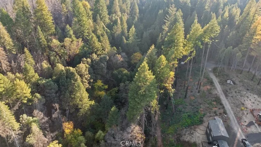 0 Path In The Woods, Berry Creek, California 95916 — photo 5