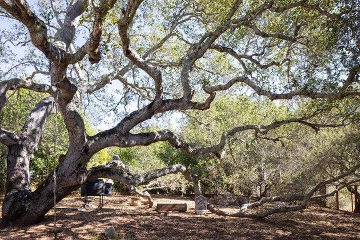 20 Marquard Road, Carmel Valley, California 93924