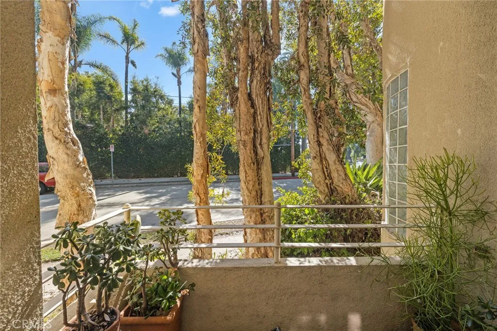 861 S Windsor Boulevard 105, Los Angeles, California 90005 home-pic-19