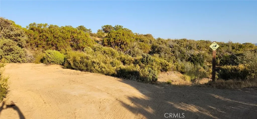 54151 Springs Trail, Anza, California 92539