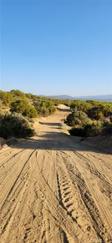 54151 Springs Trail, Anza, California 92539