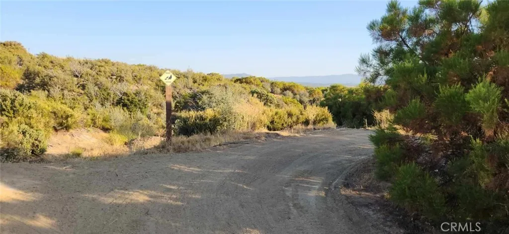 54151 Springs Trail, Anza, California 92539