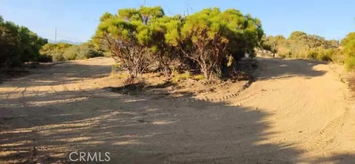 54151 Springs Trail, Anza, California 92539