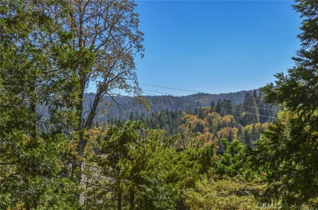 27300 Bernina, Lake Arrowhead, California 92352 home-pic-24