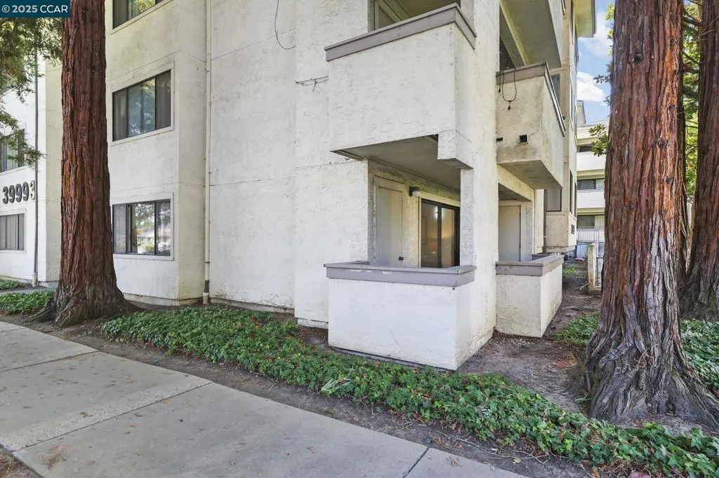 39993 Fremont Blvd 102, Fremont, California 94538 home-pic-23