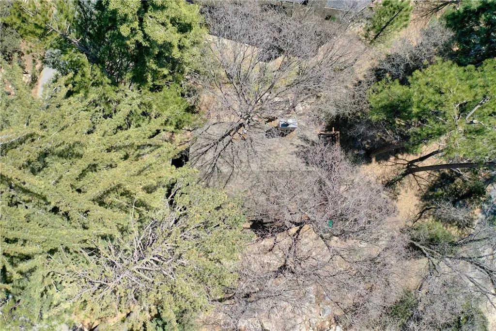 26375 Augusta Drive, Lake Arrowhead, California 92352 home-pic-32