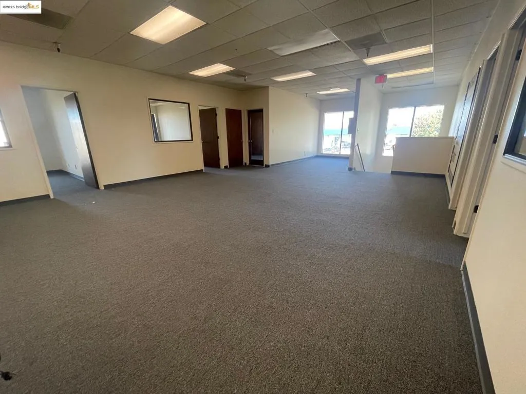 Carpeted empty room with a drop ceiling