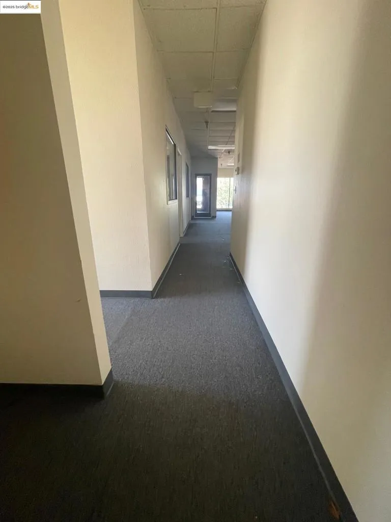 Hallway featuring a drop ceiling and dark colored carpet