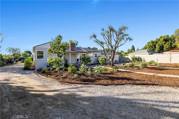 Gardens at rear of home