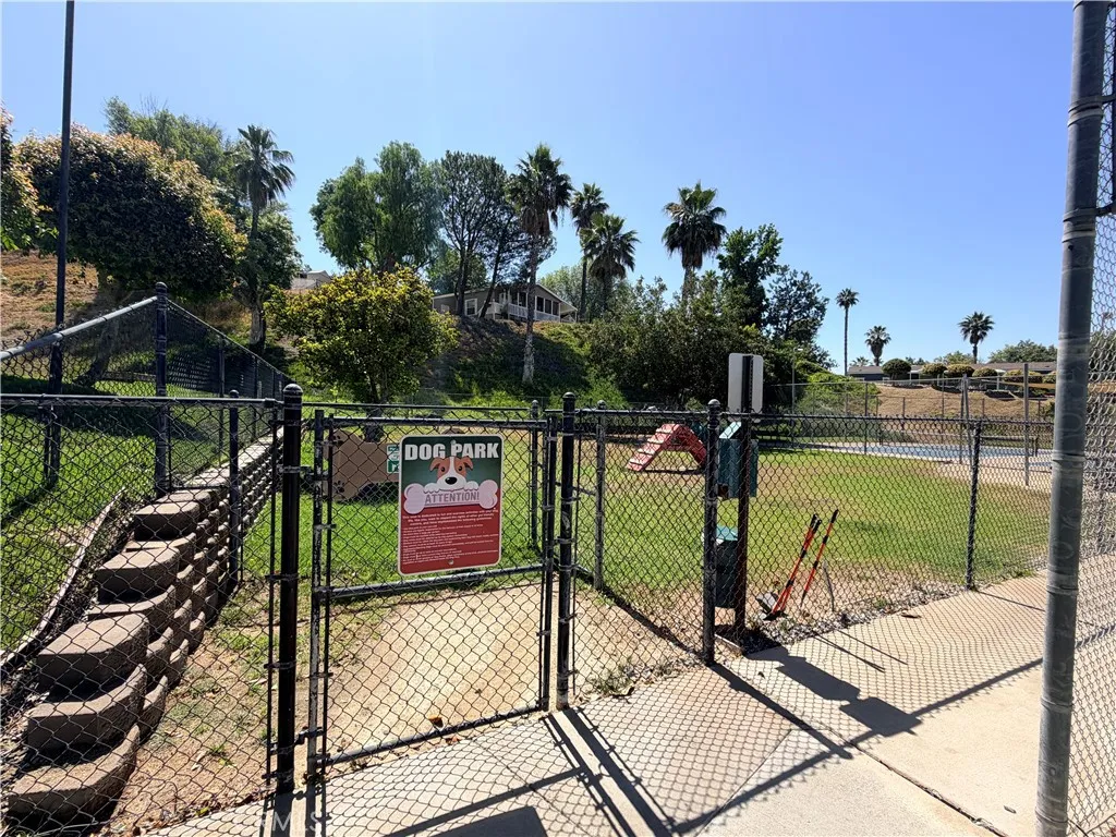 Doggy Park
