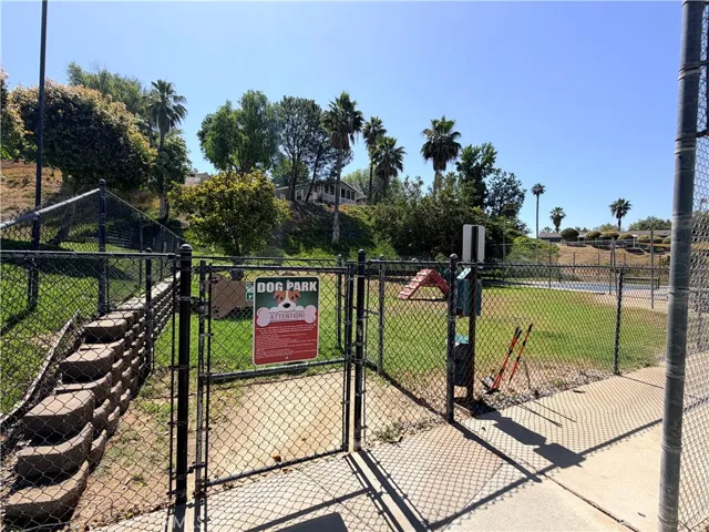 Doggy Park