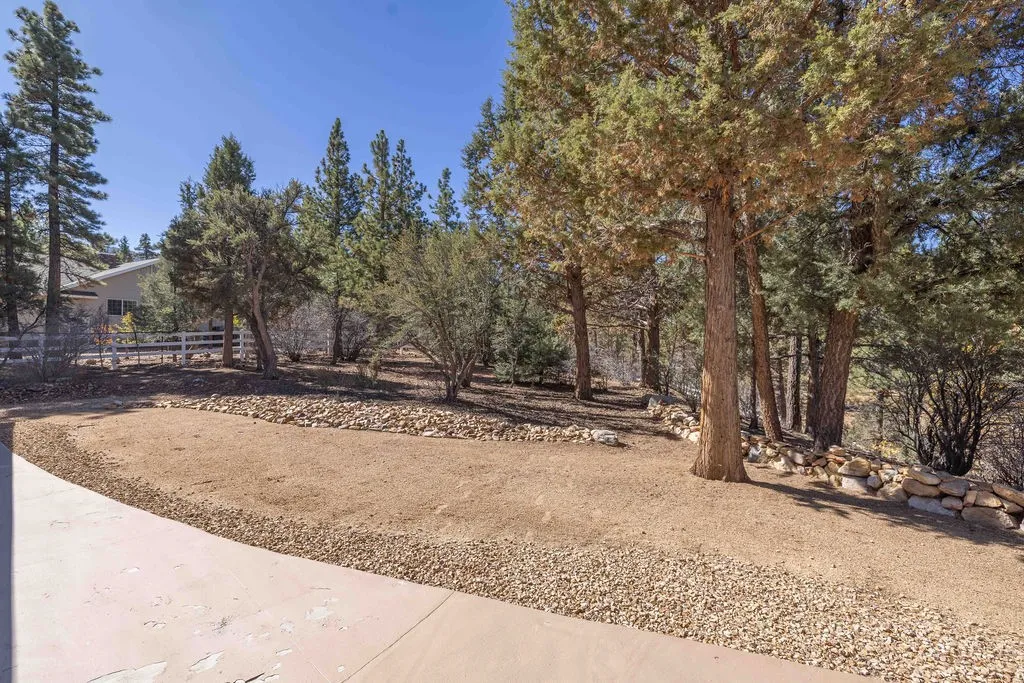 1605 Shenandoah Way, Big Bear City, California 92314 home-pic-40