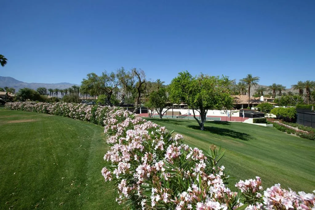 48205 Casita Drive, La Quinta, California 92253 home-pic-0