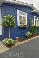 imaged digitally enhanced