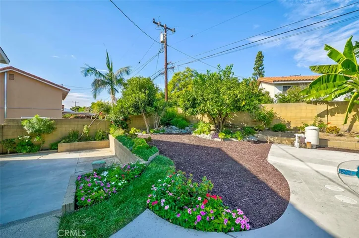 Spacious back yard with several mature fruit trees-orange, tangerine, grapefruit, persimmon, banana, peach, fig and loquat trees