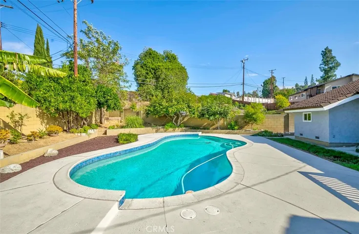 Spacious backyard with mature fruit trees - orange, tangerine, grapefruit, persimmon, banana, peach, fig and loquat trees