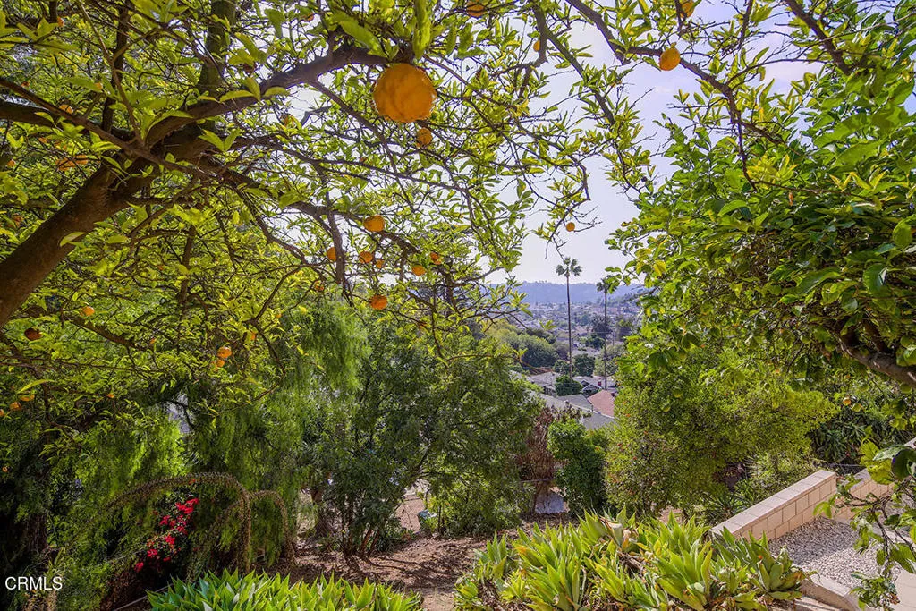 3933 Berenice Place, Los Angeles, California 90031 home-pic-22