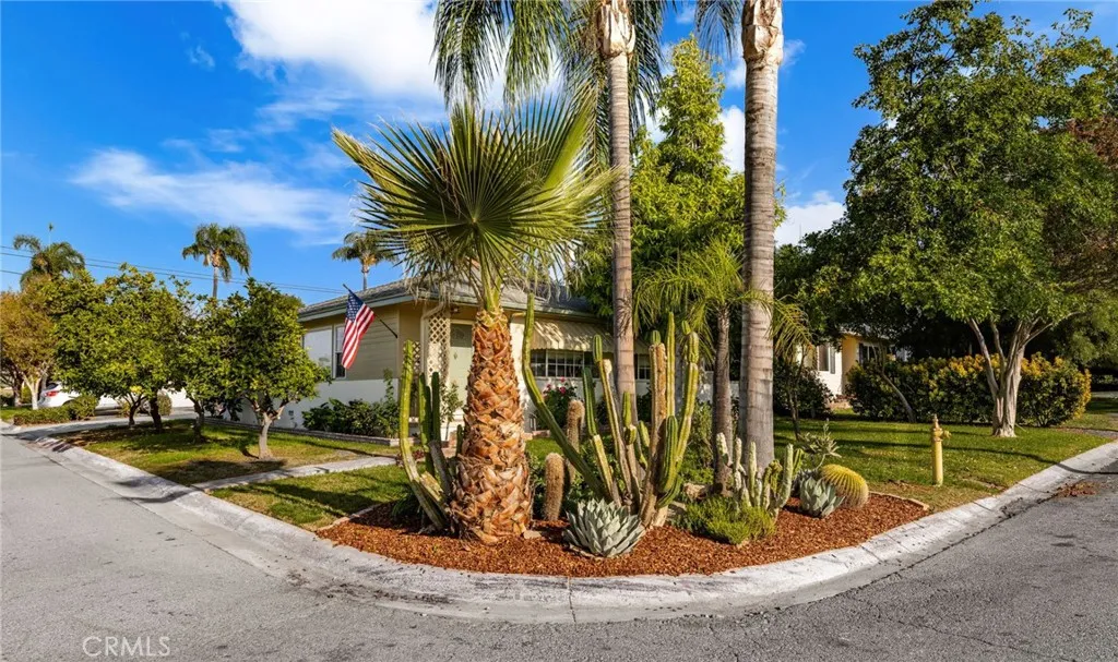 501 Lemon Street, Redlands, California 92374 home-pic-21