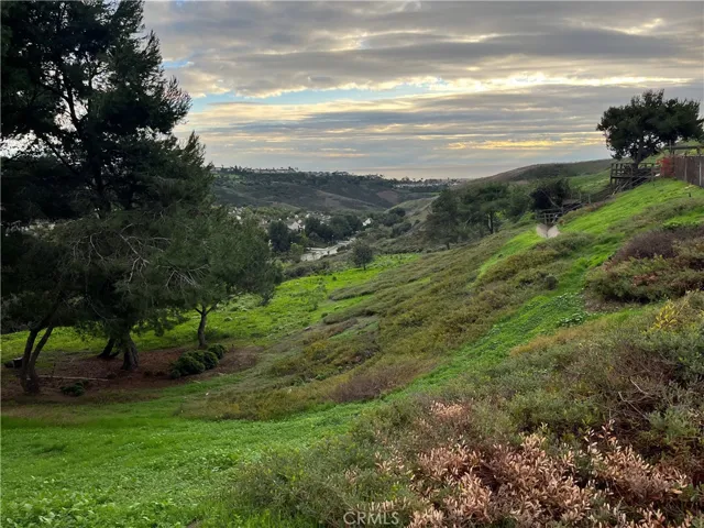 2745 Penasco, San Clemente, California 92673
