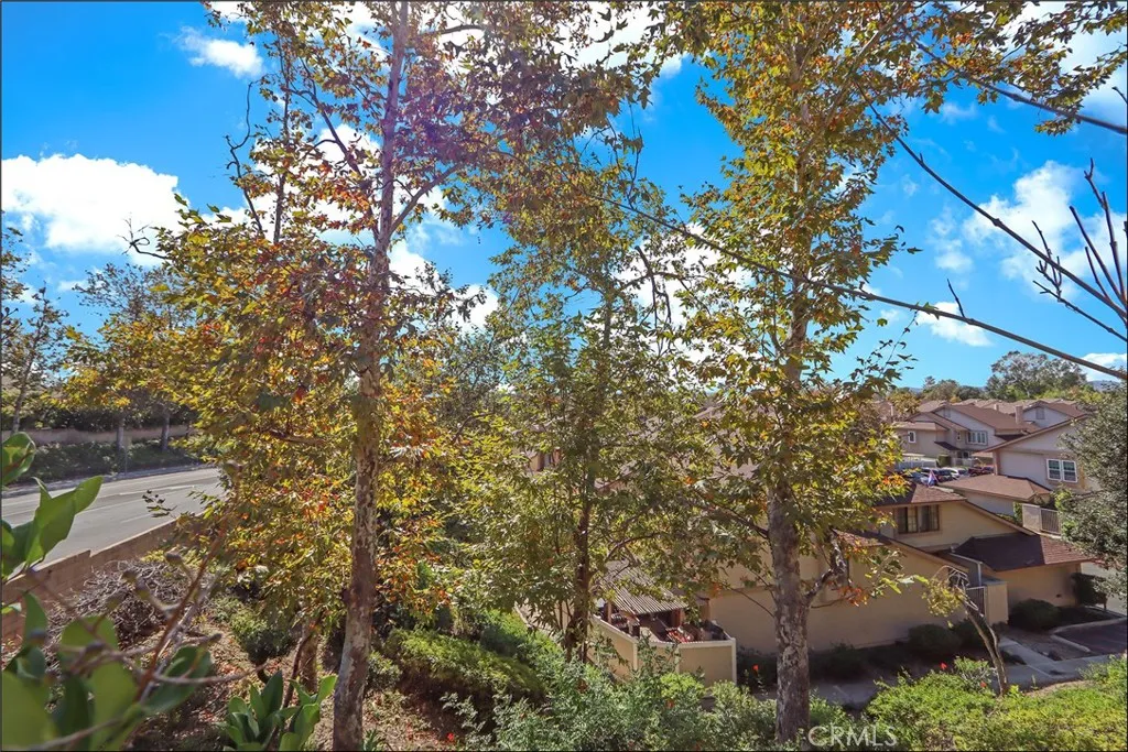 25272 Birch Grove, Lake Forest, California 92630 home-pic-4
