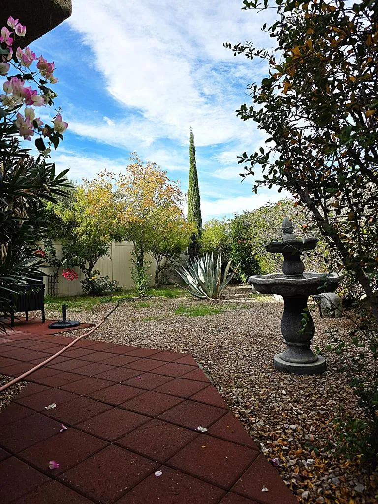 1444 Sunflower Circle N, Palm Springs, California 92262 home-pic-3