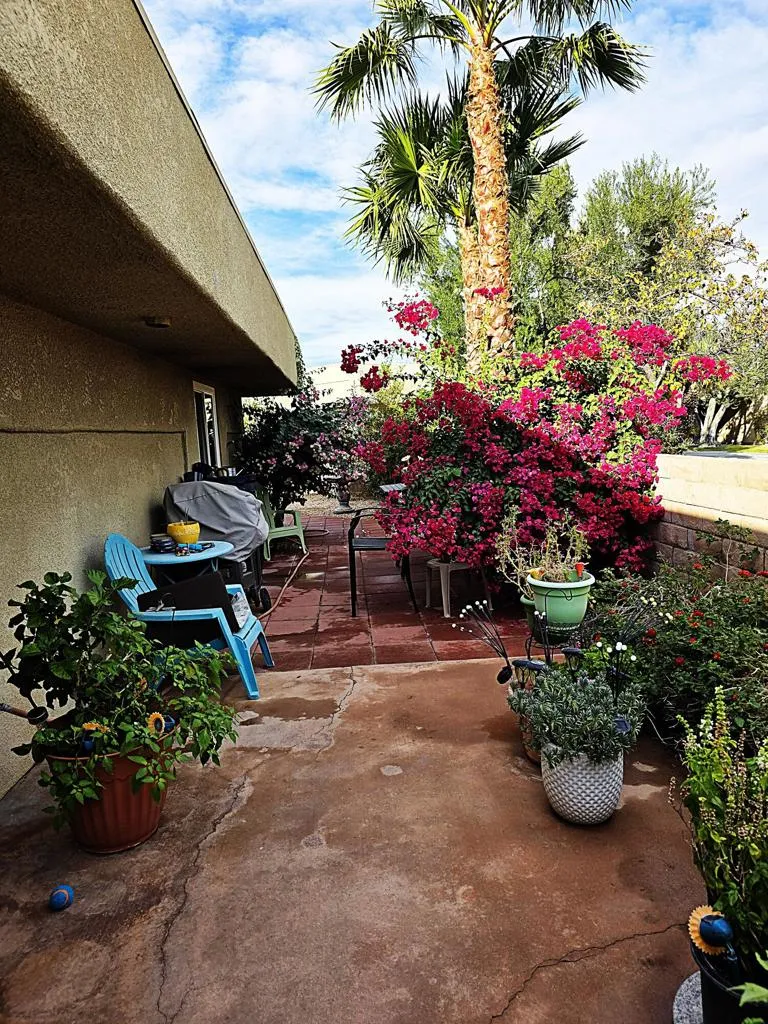 1444 Sunflower Circle N, Palm Springs, California 92262 home-pic-12
