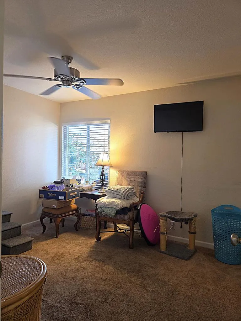 1444 Sunflower Circle N, Palm Springs, California 92262 home-pic-11