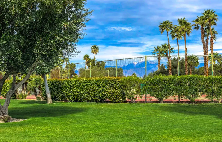 1444 Sunflower Circle N, Palm Springs, California 92262 home-pic-5