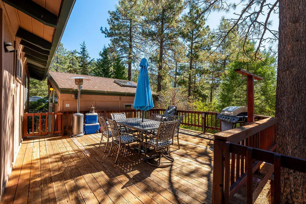 25580 Fir Street Street, Idyllwild, California 92549 home-pic-25